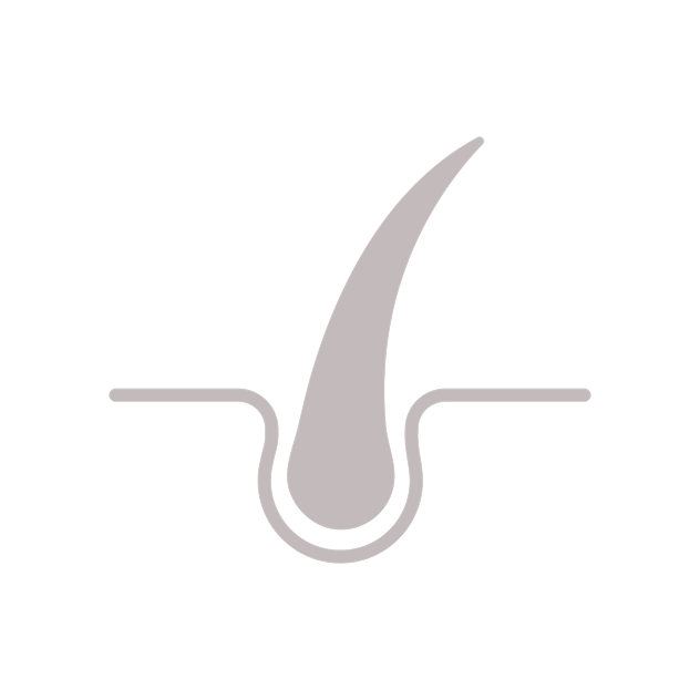 Image of Hair root
